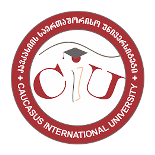 Caucasus International university Georgia