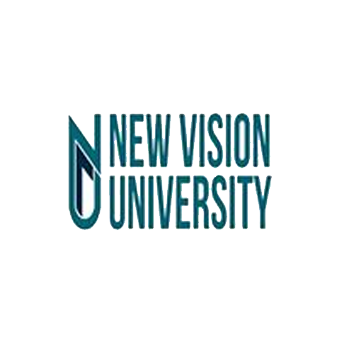 New Vission University georgia